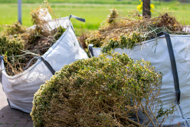 Best Commercial Junk Removal  in Paris, MO